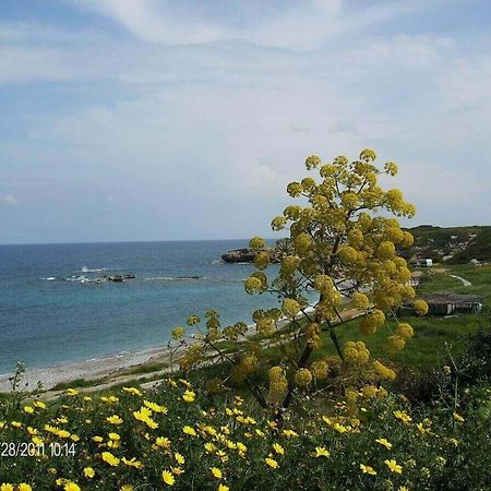 Marina Apartment B 16 - Tatlisu Trnc Akanthou Zewnętrze zdjęcie